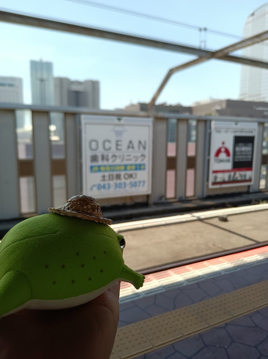 昨日はワンフェスを無事に終えることが出来ました…！！
皆さま誠にありがとうございました！🙇✨
福岡に戻って落ち着いてからもろもろお返事させて頂ければと思います！
今日は原宿に行って参ります！！🐸💨