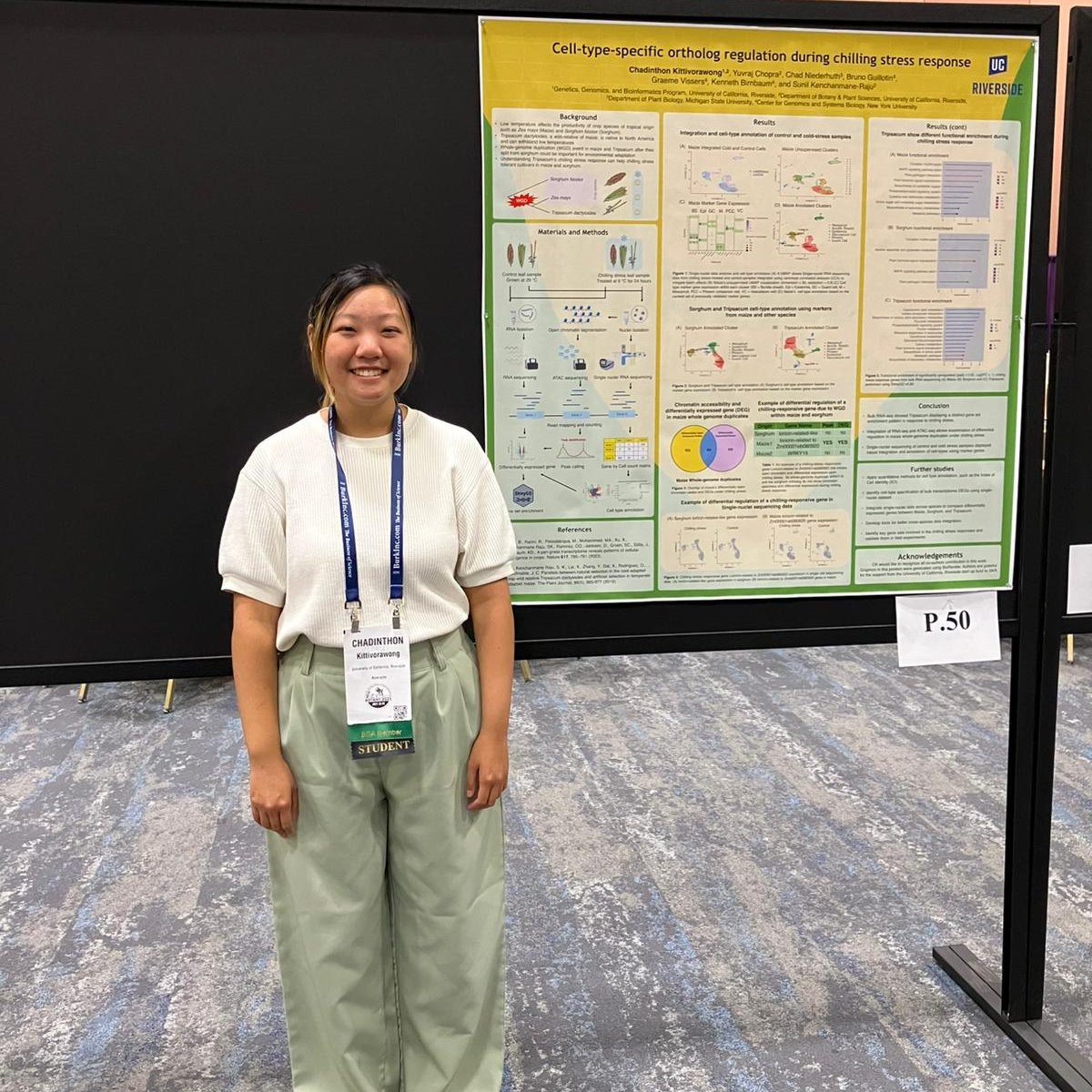 Sunil_KumarKR's tweet photo. Super excited to present my work on cell-type resolution gene expression and co-expression to understand the functional breadth of core regulators 🌽
First talk in Development and Structure session tomorrow morning #Botany2025
Our lab posters are also up!
Yuvraj #P145
Minnie #P50 https://t.co/eAU6lbQ0EJ