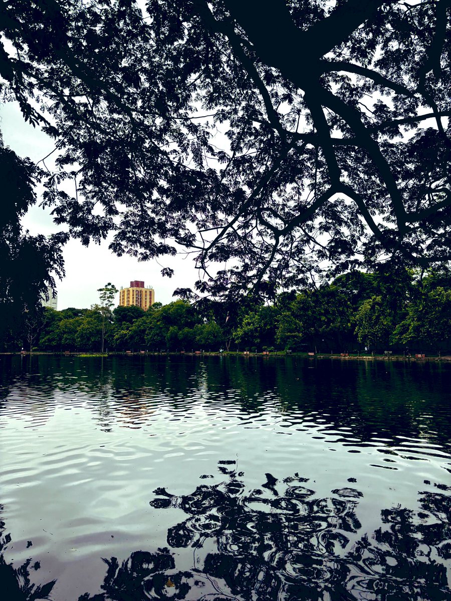 runner_anir's tweet image. 22 km jog. 
200 push-ups.  
1 terrible selfie. 🤣