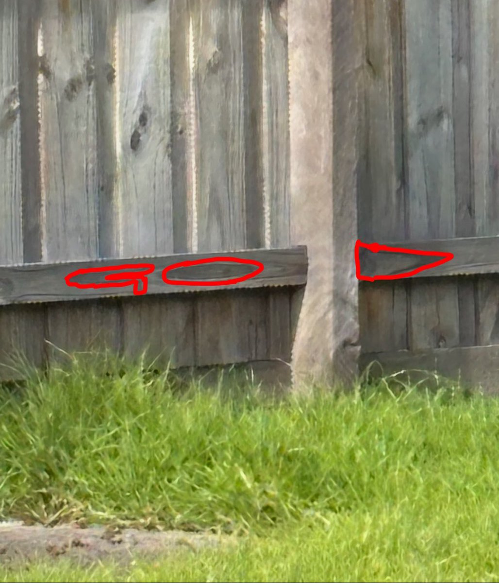 SamsScrote's tweet image. god is in everything