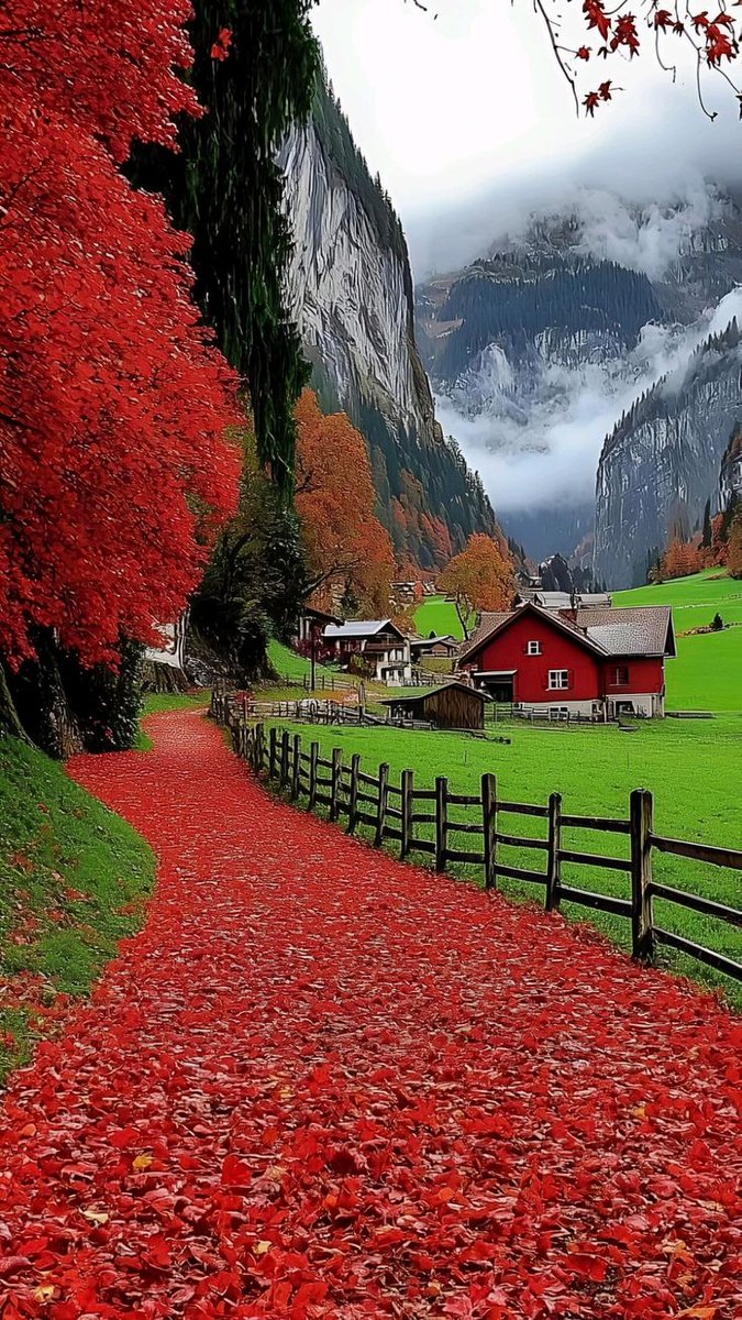 SalehaAzhar5's tweet image. Good day for you 🌄
