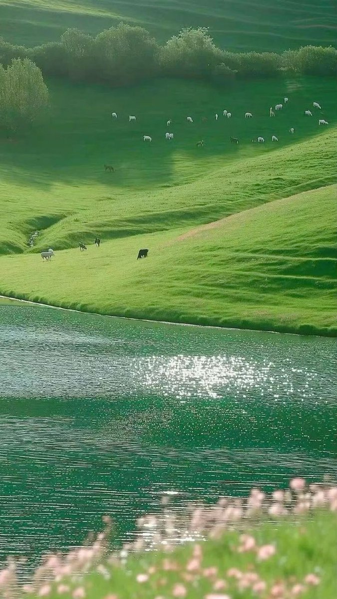SalehaAzhar5's tweet image. Nature is beautiful ❤️
