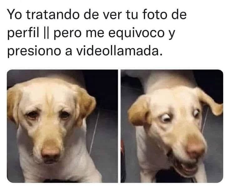 LORE_LOR's tweet image. LE PASÓ A LA SOBRINA DE LA PRIMA DE LA HIJA DE LA COMADRE DE UNA AMIGA… 🤭🤭🤭