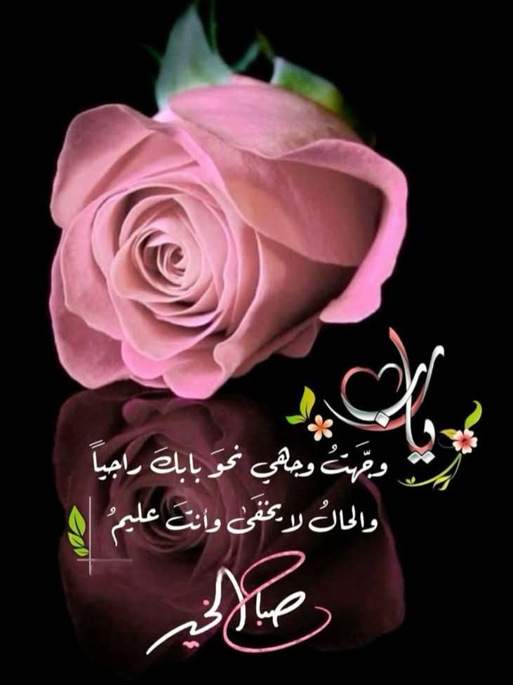 _sco41's tweet image. ﷽
ﺍﻟﺴَّـــــﻼَﻡُ ﻋَﻠَﻴــْـﻜُﻢ ﻭَﺭَﺣْﻤَﺔُ ﺍﻟﻠﻪِ ﻭَﺑَﺮَﻛـَـﺎﺗُﻪ
🌻صبــح بخیـــر🌻
وَقُلْ رَّبِّ اَدْخِلْنِىْ مُدْخَلَ صِدْقٍ وَّاَخْرِجْنِىْ مُخْرَجَ صِدْقٍ وَّاجْعَلْ لِّىْ مِنْ لَّـدُنْكَ سُلْطَانًا نَّصِيْـرًا ۔