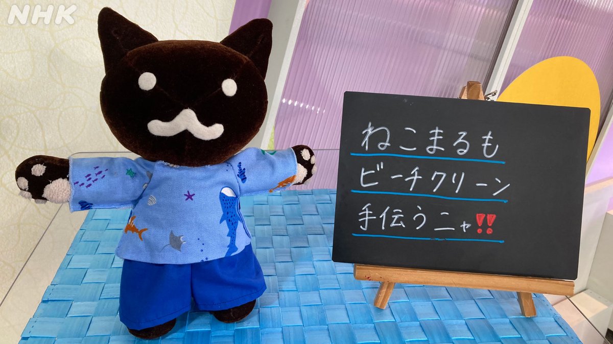 nhk_kyoto's tweet image. ☀️京丹後市網野町 楽しく守ろう!きれいな海🌊
☑#京のええとこ連れてって
海水浴客でにぎわう美しい浜辺を
みんなで守ろうと活動を続ける
人に出会ったニャ~🐈
7/25(金) #京いちにち
#NHKプラス 配信中🔽
plus.nhk.jp/watch/st/260_g…
🗓️配信期限8/1(金) 午後6:59 まで
#ねこまるダイアリー