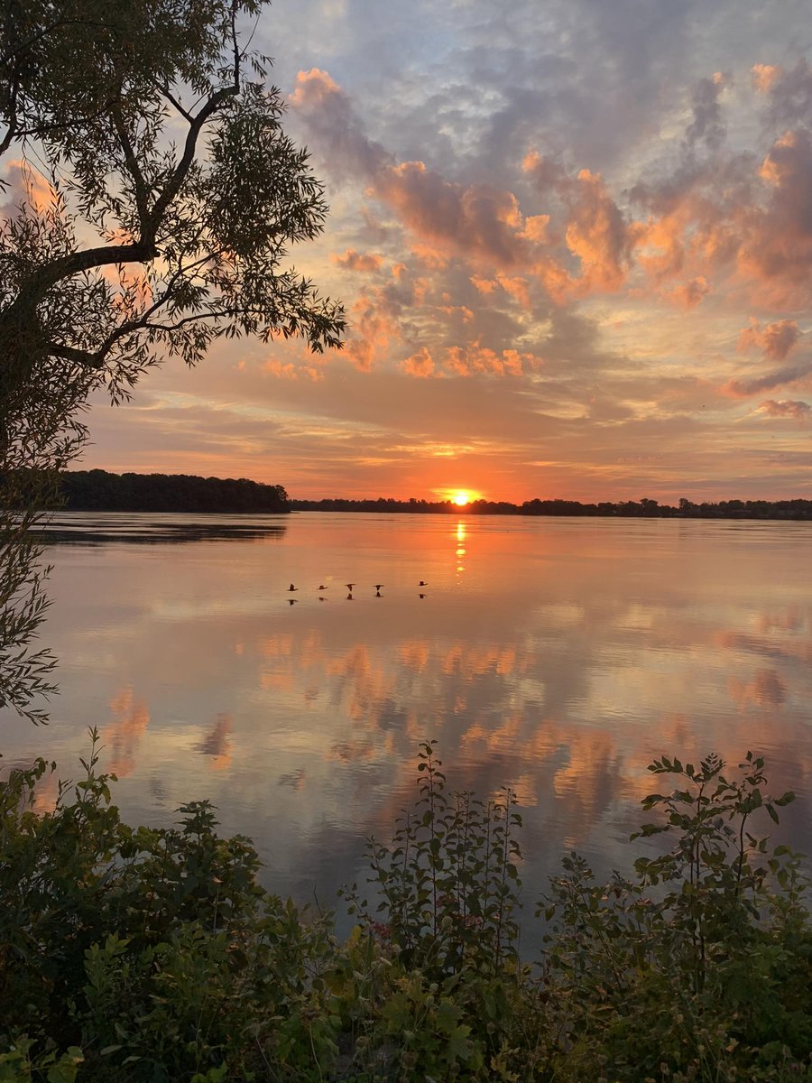 ConfidentialUn's tweet image. Sunrise over Chippawa (Niagara Falls), Canada
Upper Niagara River
#sunrise
