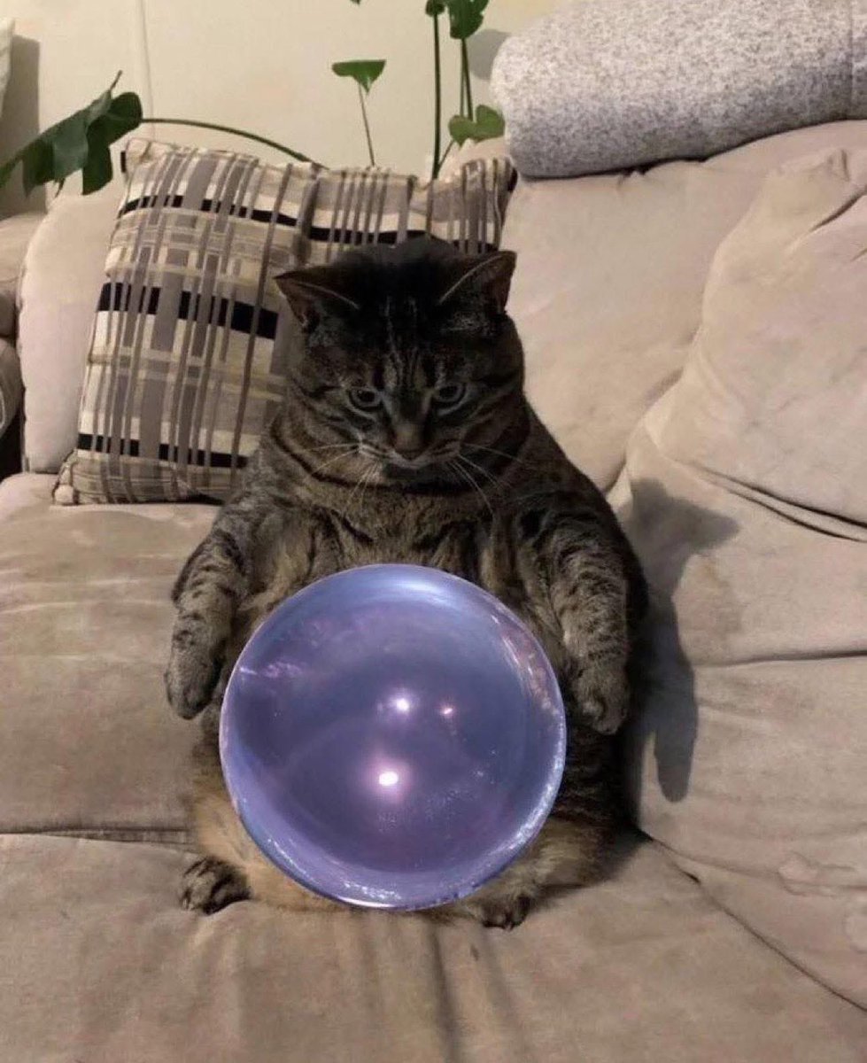 BitCamX's tweet image. Cat look into future. not looking good.
Stack magic internet moniez. better future.