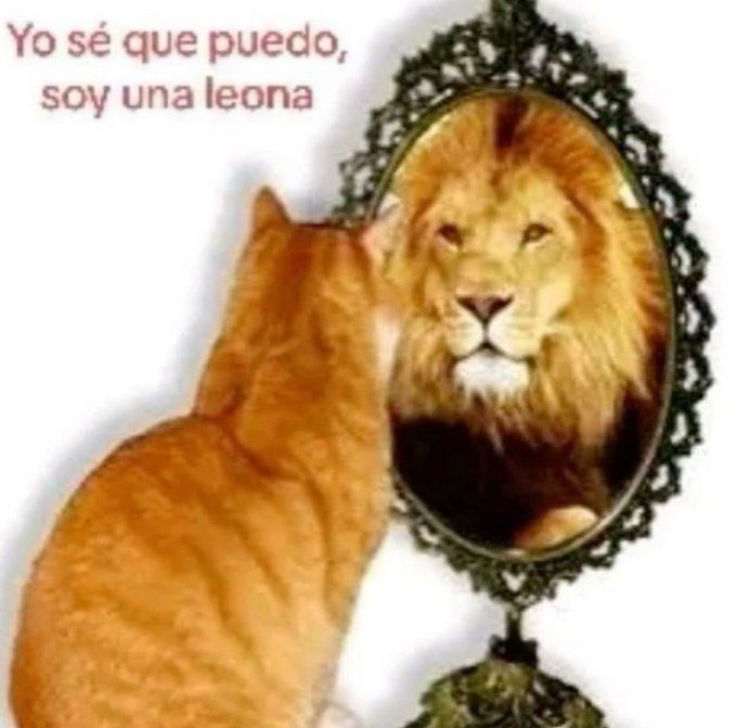 ItsNoby_'s tweet image. Quiero abrir comisiones para comprarme una nueva tableta pero nose, siento que no me dara el tiempo, bancan? (seria pa chile nomas y luego m expando)