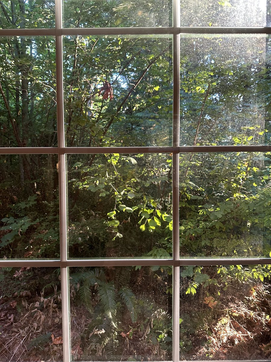 SOHFTHLM's tweet image. Outside