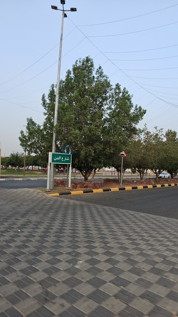 ممشى التخصص نجران