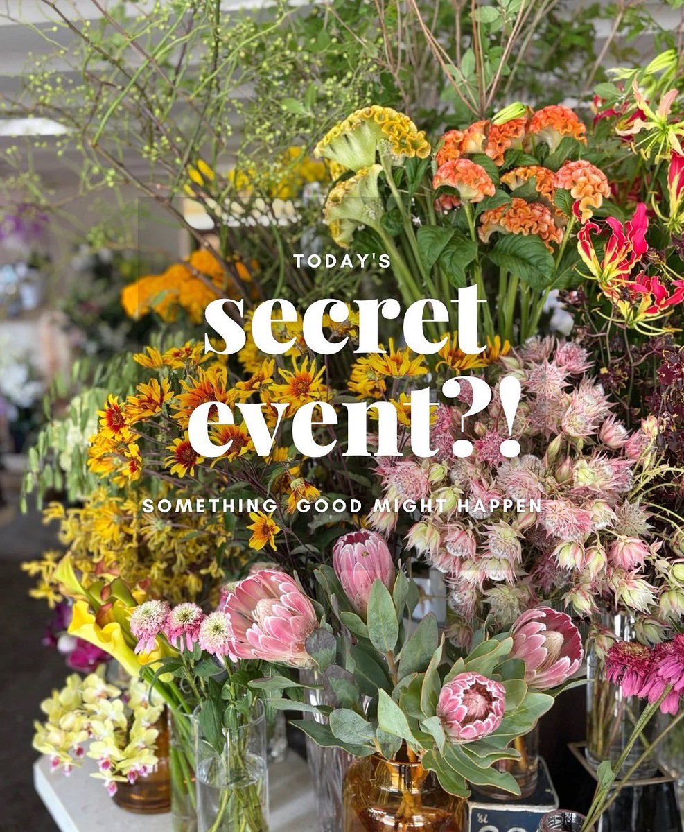 tsuboikaen's tweet photo. secret event ?!
きょう7/28(月)17:30-
坪井花苑 本店の前を通るとなにかいいことがかあるかも…
お仕事終わりに…
近くにお越しの方…
ぜひ立ち寄ってみてください🙂↕️✨
#secretevent #花屋 #名古屋 #名古屋花屋 https://t.co/I4lGBsMbJC
