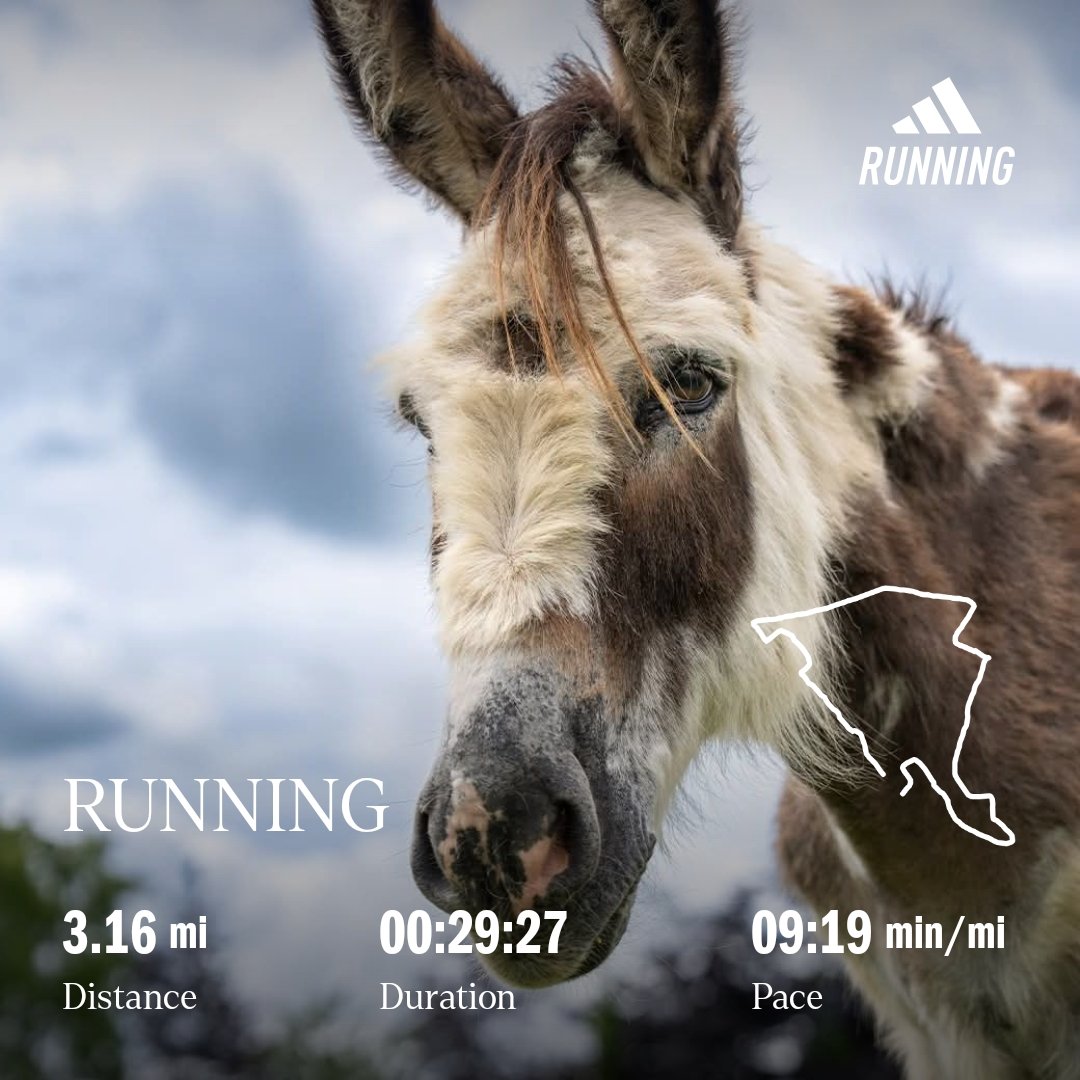 ClivePoole's tweet photo. The final stretch, just 3 days to go!🌅🏃‍♂️🫏 I wanted to say a BIG thank you for your support. Well over £200 now with gift aid, you are all amazing, thank you! ❤️ RED July, in support of The @DonkeySanctuary   #doitfordonkeys ❤️  @UKRunChat #ukrunchat https://t.co/ZbUqBpGz2Y https://t.co/06zWPG32ku