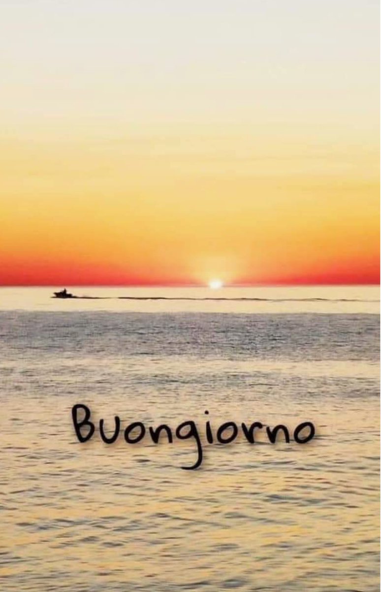 prai61's tweet image. Buongiorno!☕️🌞🌹♥️🖤
Che questa settimana porti slanci nuovi, incontri veri e almeno un momento che valga davvero la pena di ricordare…