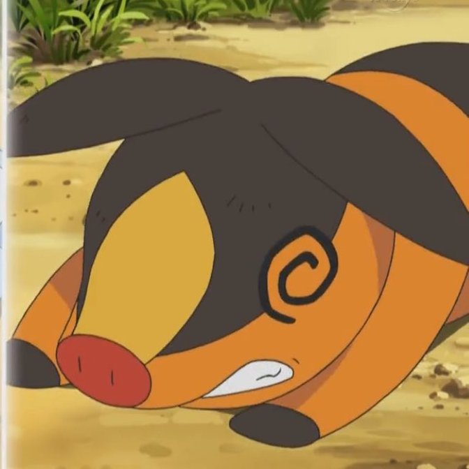 TepigGanda's tweet image. Oops, Tepig crashed