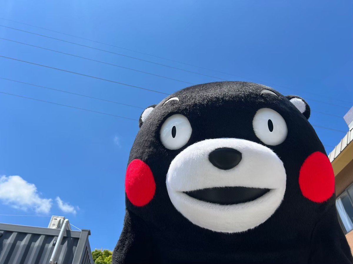 CRSVDV's tweet image. こくいんや！もうさっさとはいぎょう！！したらのことばしかございません。