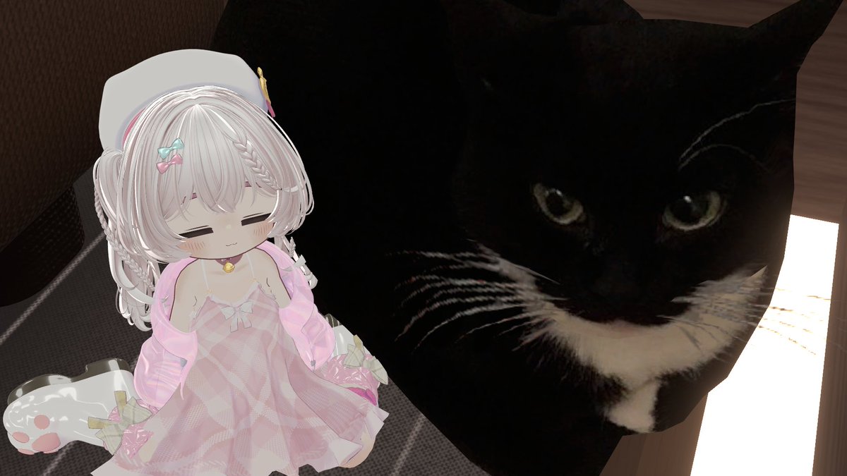 choco_s2c's tweet image. すみっこのねこちゃんとまったり♬

#ゆたキプフォトコン