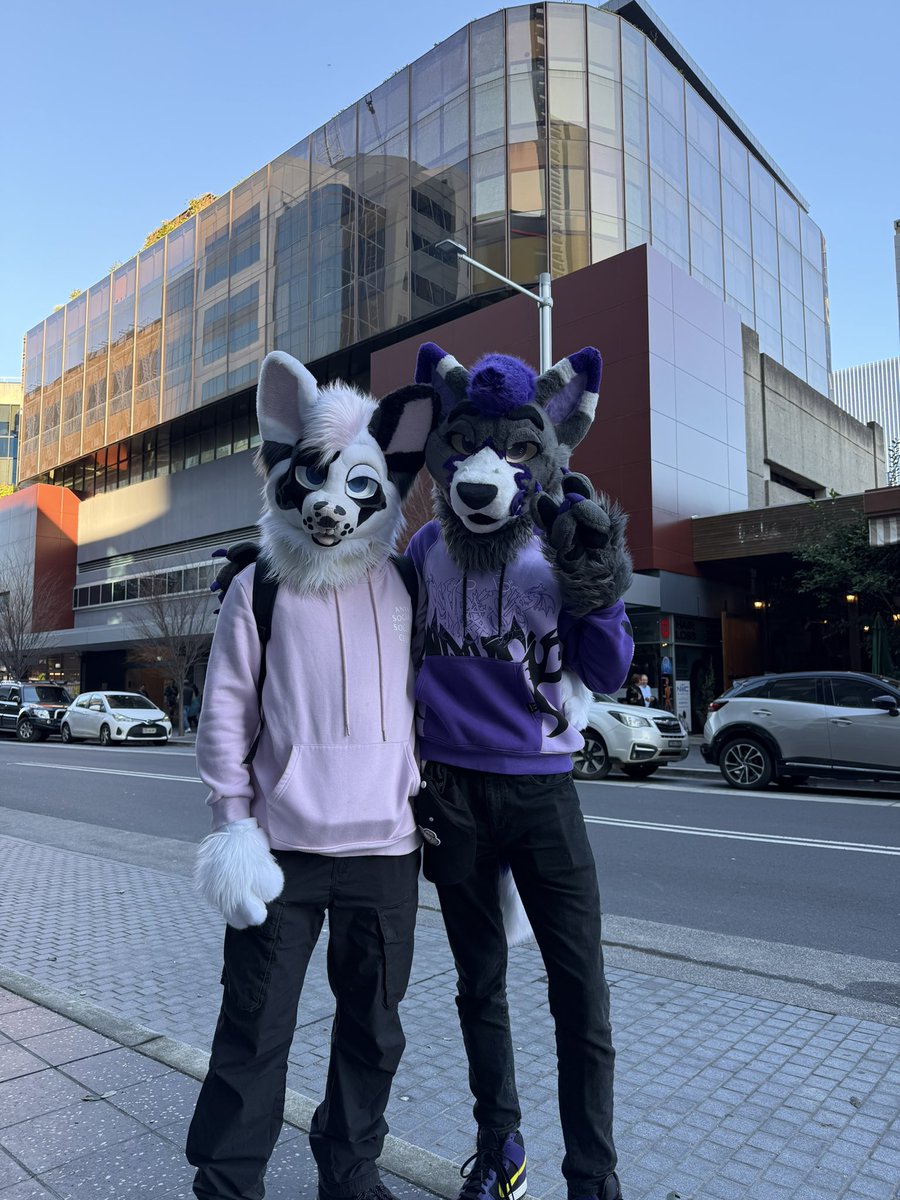 Drifter! ๐ Paws Outdoors & VICE (@drifterthewolf) on Twitter photo Small Aurawra 2025 photo dump :P
More scuffed ones are coming soon ๐ฉ
With~ <a href="/DeluxeCanine/">โจDUSTโจ</a> <a href="/RocketTheCoyote/">Rocket ๐ WAFF 2025 ๐ Infurnity 2025๐น๐ผ</a> <a href="/Fluxfoxx_/">Flux ๐ Infurnity</a> <a href="/dadogmutt/">Mutt๐WAFF</a> Small Aurawra 2025 photo dump :P
More scuffed ones are coming soon ๐ฉ
With~ <a href="/DeluxeCanine/">โจDUSTโจ</a> <a href="/RocketTheCoyote/">Rocket ๐ WAFF 2025 ๐ Infurnity 2025๐น๐ผ</a> <a href="/Fluxfoxx_/">Flux ๐ Infurnity</a> <a href="/dadogmutt/">Mutt๐WAFF</a>