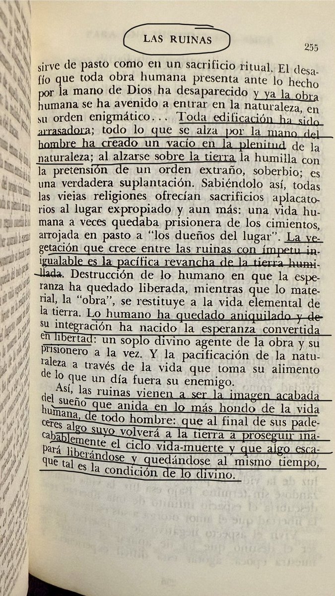 rhoda_2912_'s tweet image. “Así, las ruinas vienen a ser la imagen acabada del sueño que anida en lo más hondo de la vida humana, de todo hombre: que al final de sus padeceres algo suyo volverá a la tierra a proseguir inacabablemente el ciclo vida-muerte”.
Maria Zambrano ✍️
Soberbia, siempre!!