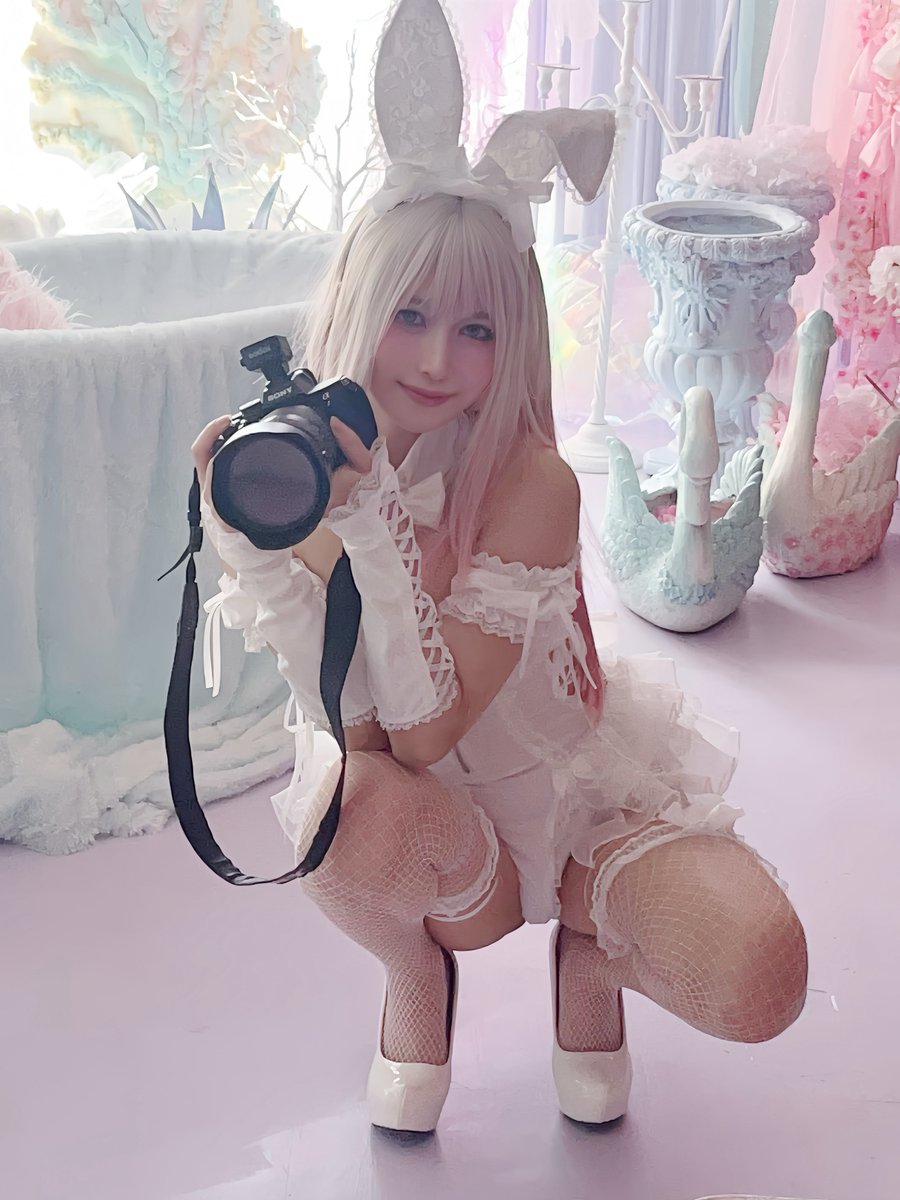 Chisa_Sensei's tweet image. カメラマンバニー👯‍♀️