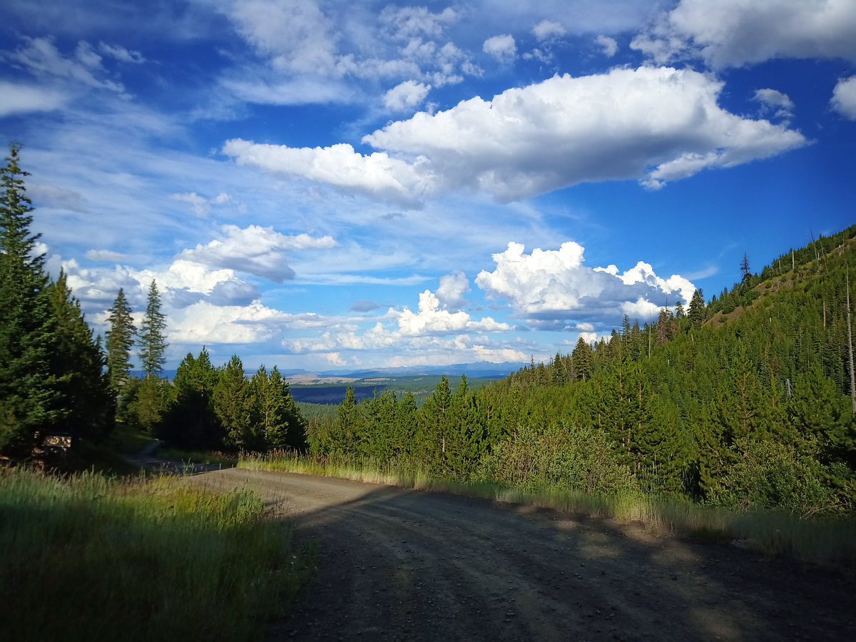 Matthew Hurley tweet media