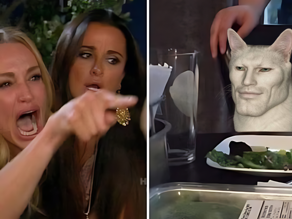 GigaCatSOL (@thegigacatsol) on Twitter photo GigaCat remains unphased always. GigaCat remains unphased always.