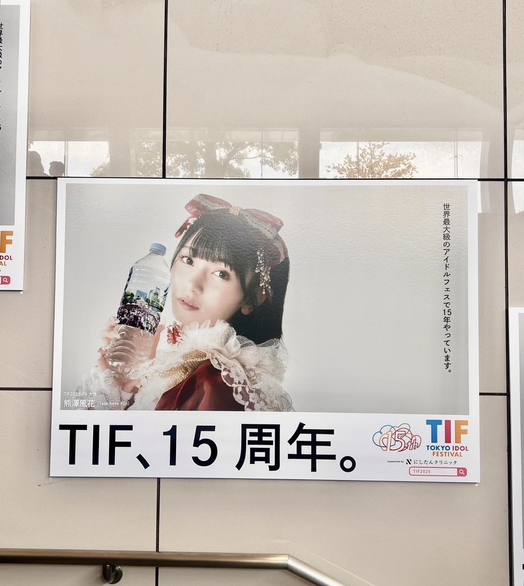 ふうちゃん 715Fg8+2XhL._UF350,350_QL50_.jpg