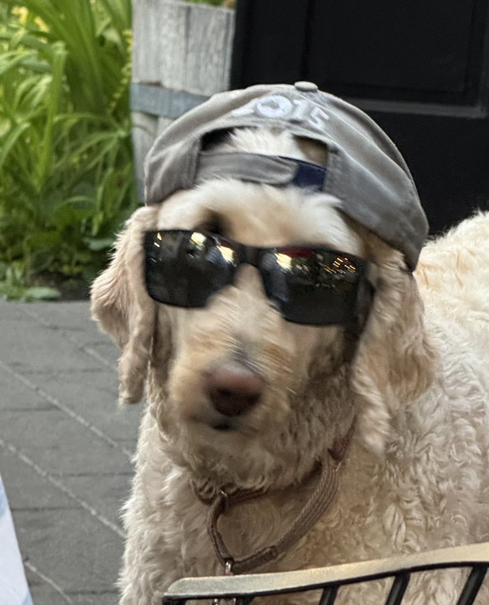 At the other table there was this dude with shades.