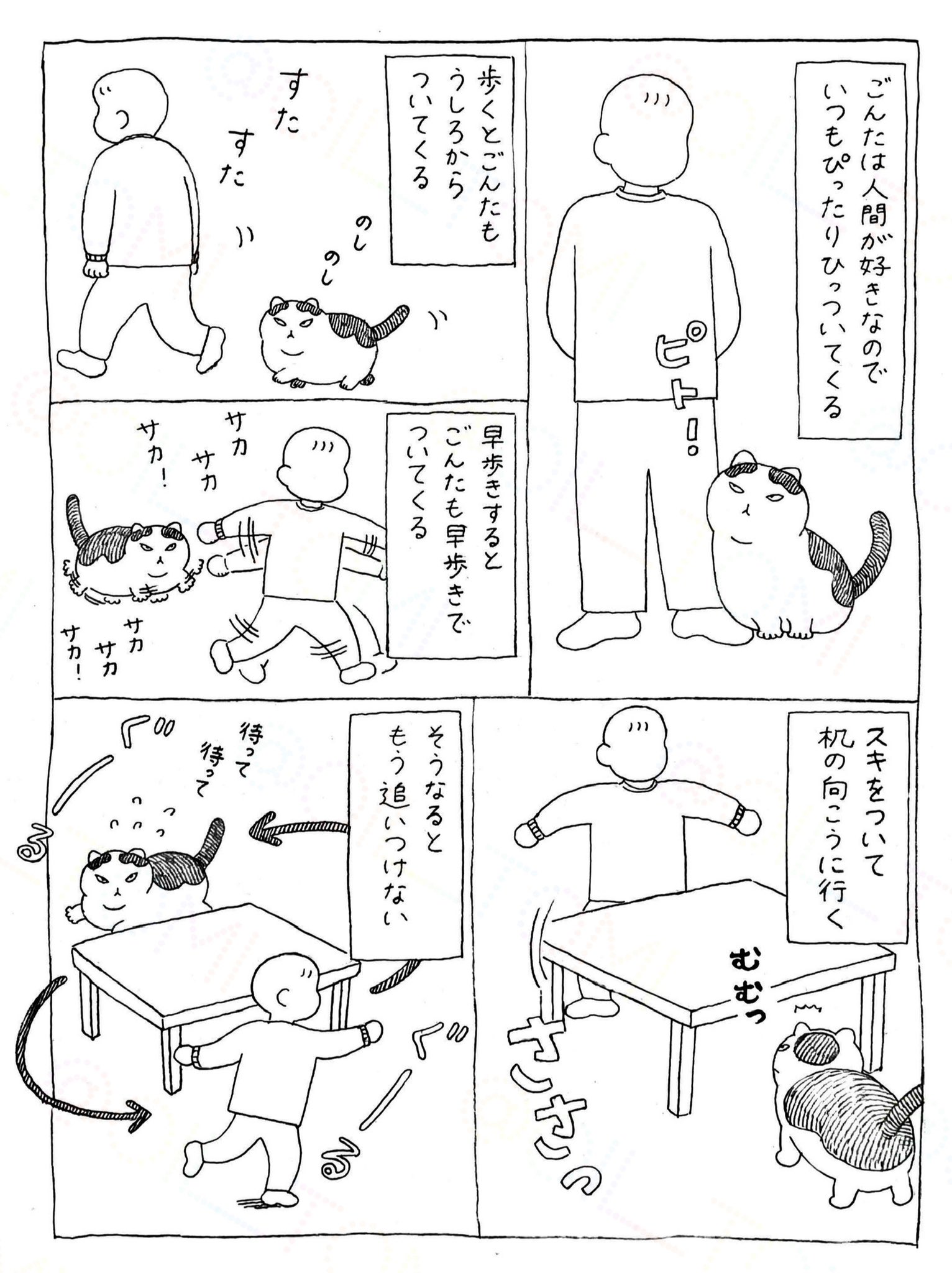 🌈🐈‍⬛ nae Ⅲ 🐈‍⬛🌈 (@_____nae_____) / X