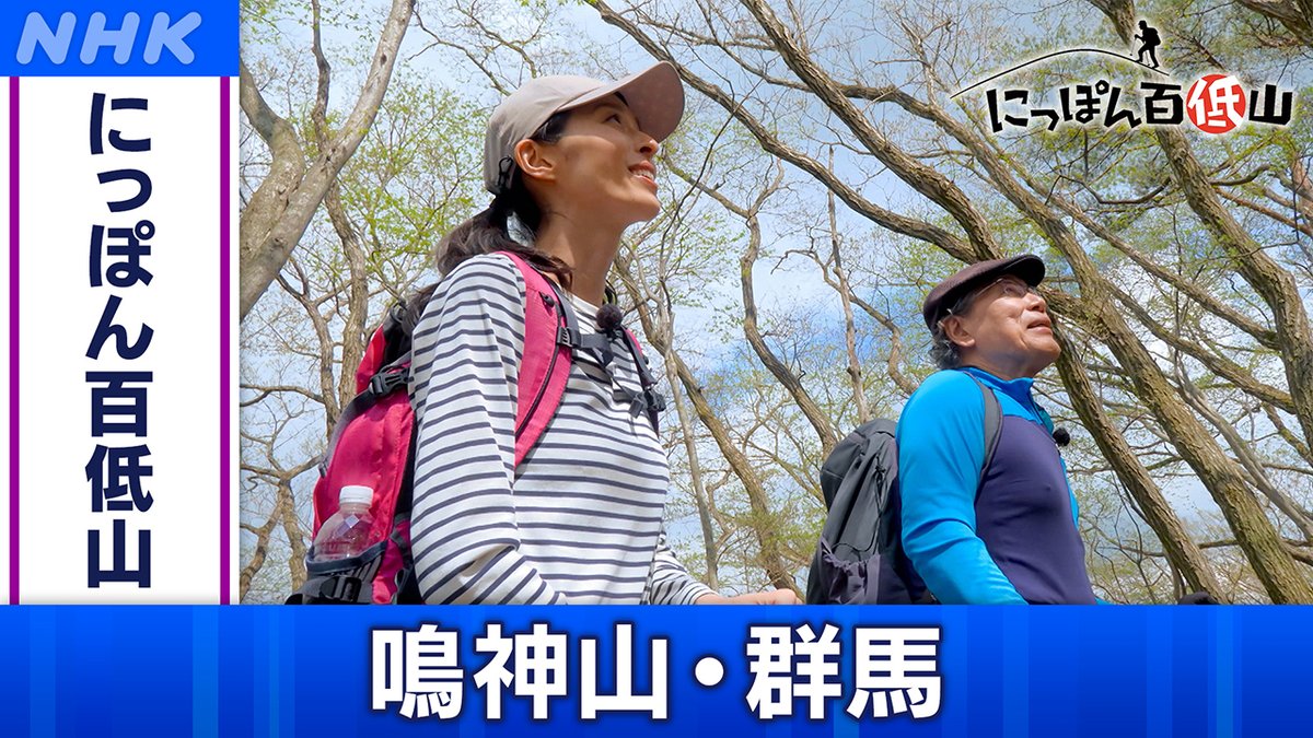 NHK_BS1's tweet image. 📺[BS]今夜7時00分

「#にっぽん百低山」
鳴神山・群馬

群馬県桐生市の北にそびえる #鳴神山 ⛰
そこには、世界でここにしかない #カッコソウ という花が咲く
なぜこの山にしか咲かないのだろうか？
その謎を求めて登っていくと…

▼番組HP
nhk.jp/p/ts/NLKZP1Q6Y…

#nhkbs #吉田類 #生方ななえ