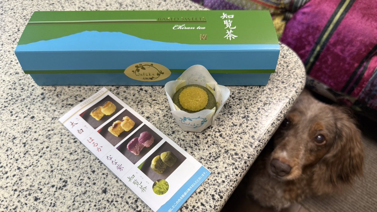 livraison1's tweet image. ランチ後の鹿児島 土産スイーツ🍰
コレは俺🐶の分あるよなっ😏じじぃっ🤨
はい🫣お分致します😅