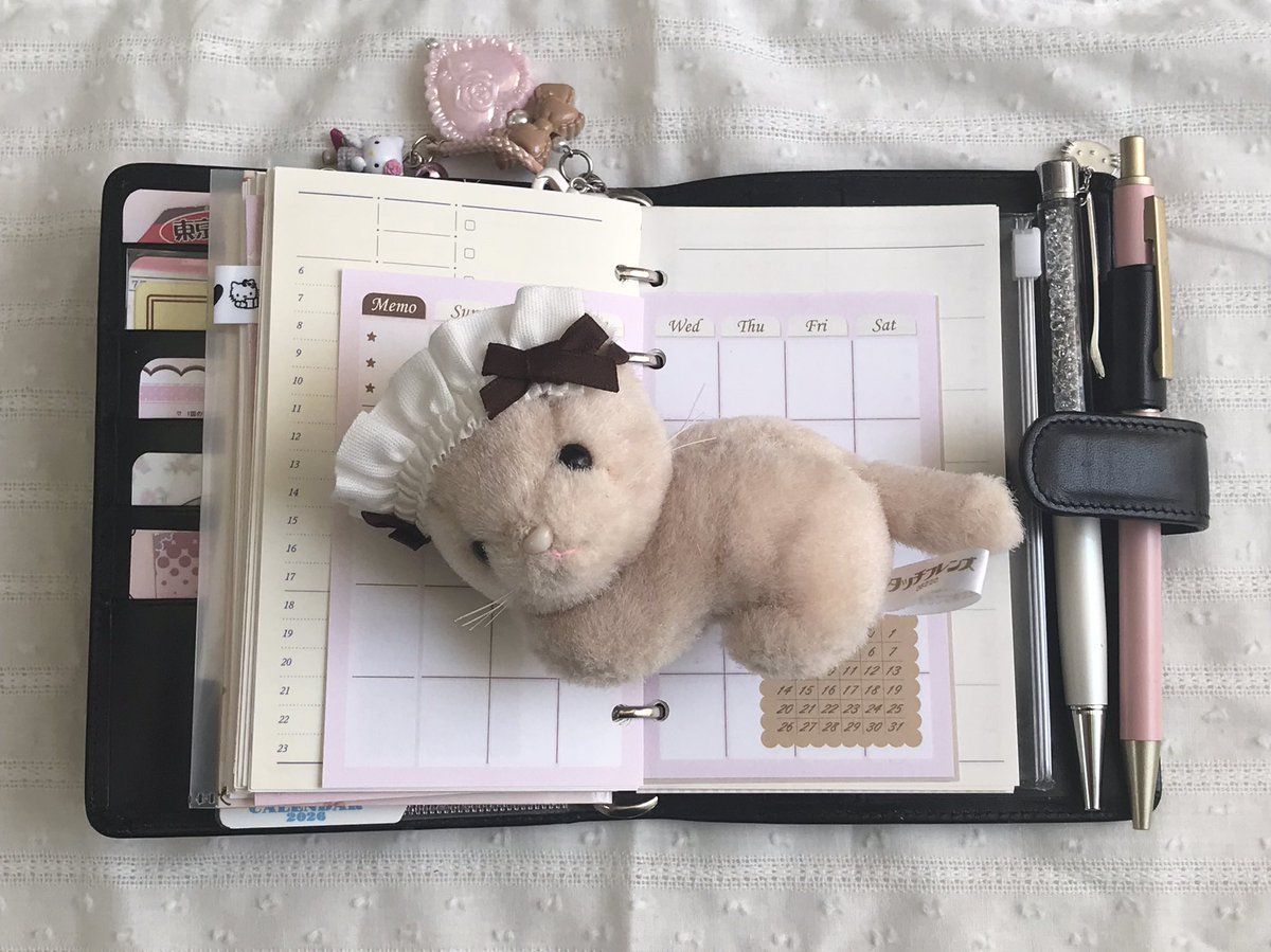 비스킷 먼슬리 속지!!
귀여울 것 같아서 6공에도 넣어봣는데 마음에 들어요