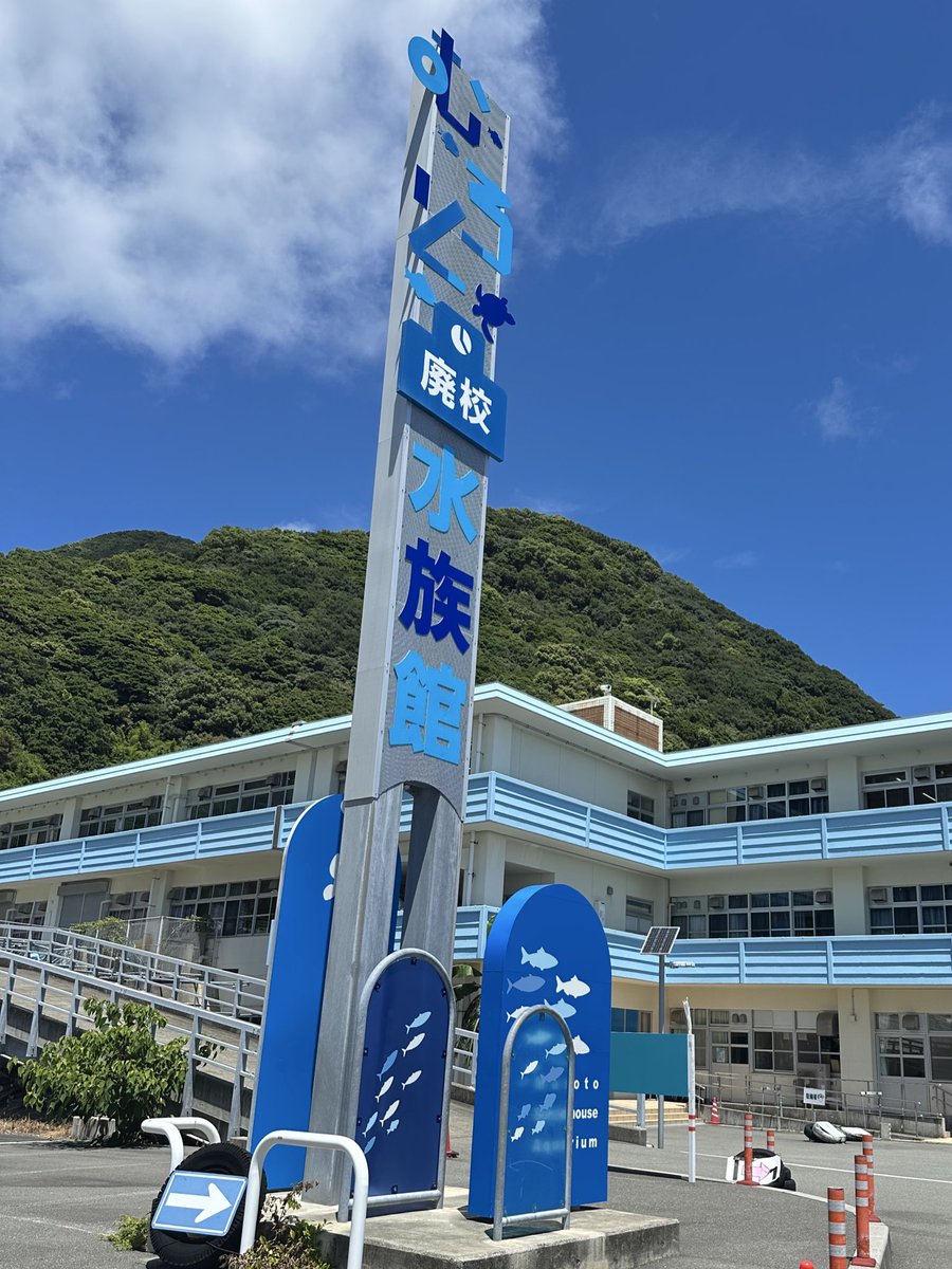 Iristquarter's tweet image. 室戸岬の道すがら廃校利用の水族館覗きました
懐かしい机に座ってアグレッサー見てました
ちなみにチケットはウナギでした。うなぎ。