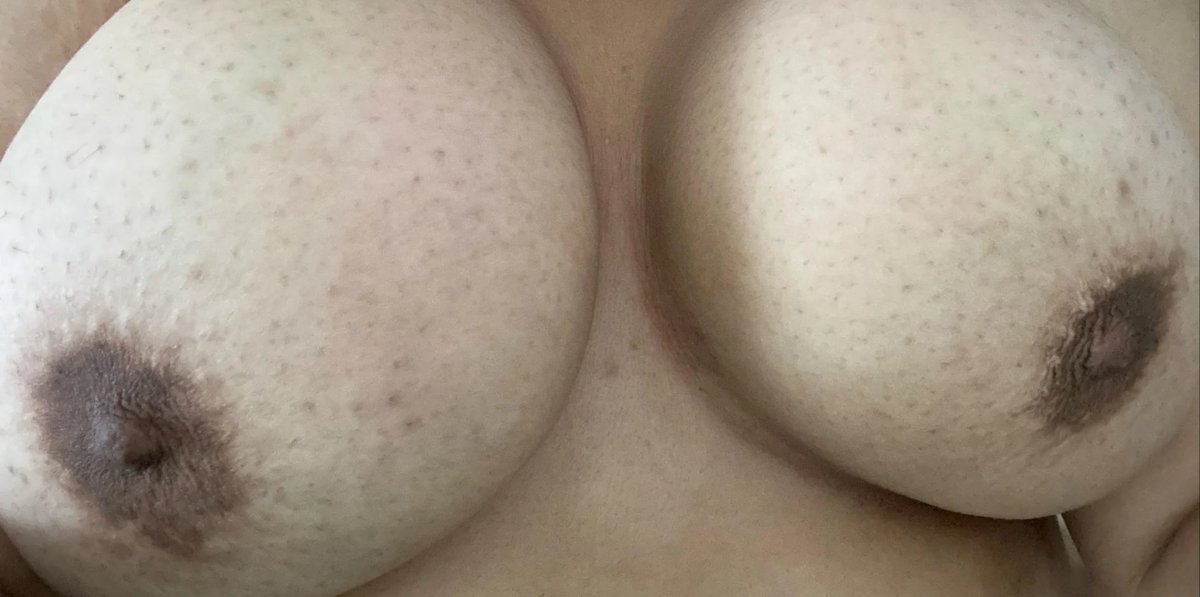 Comunidad Sw Mérida Yucatán 🇲🇽 tweet media