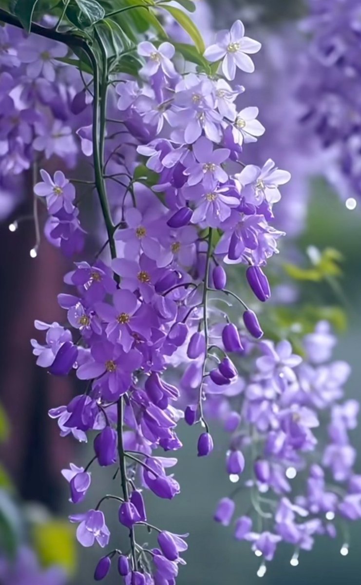 Let's chase our goal 
as it's never 
too late ❤️

Happy new week everyone 🙋🏻‍♀️🌹