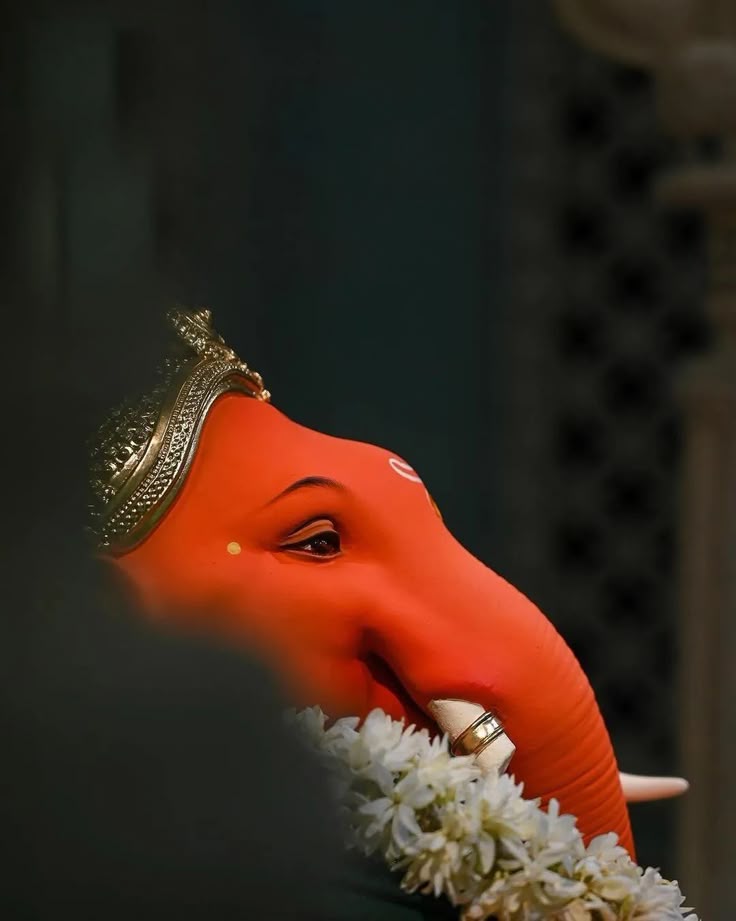 dilipjain077's tweet image. Starting the week with Bappa’s blessings...May your Monday be as calm and powerful as His presence. 🙏🌺
गणपति बप्पा मोरया 🙇