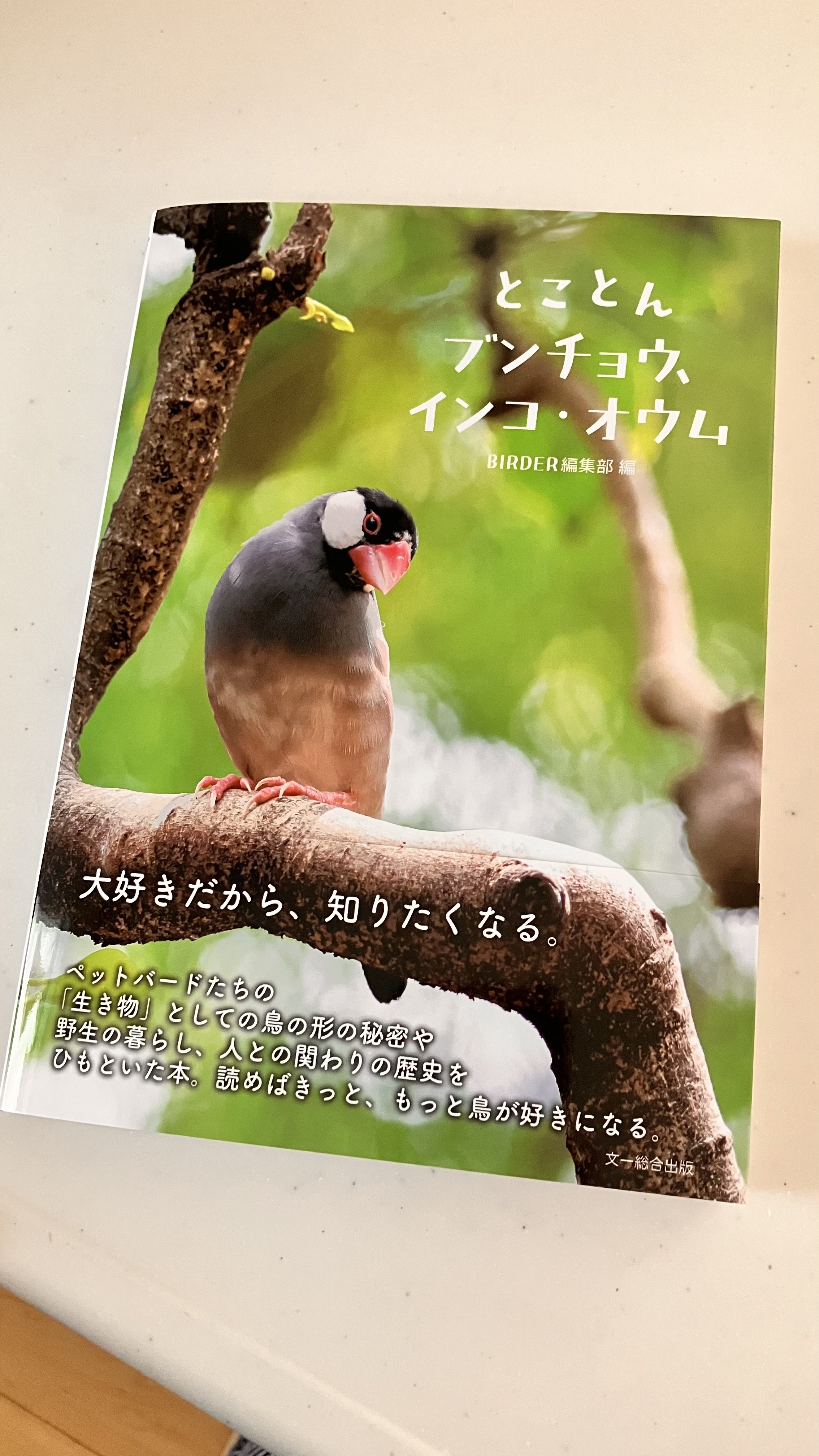 lrik　BIRDER 鳥類観察 2023.1～2024.8 lrik様専用 BIRDER 鳥類観察 2023.1～2024.8 - メルカリ