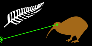 ponekeben's tweet image. Saluting the flag rn like a true Kiwi patriot 🫡