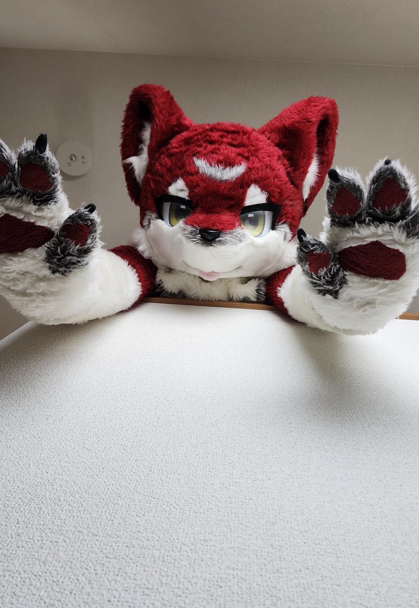 misheta7's tweet image. ばあ！