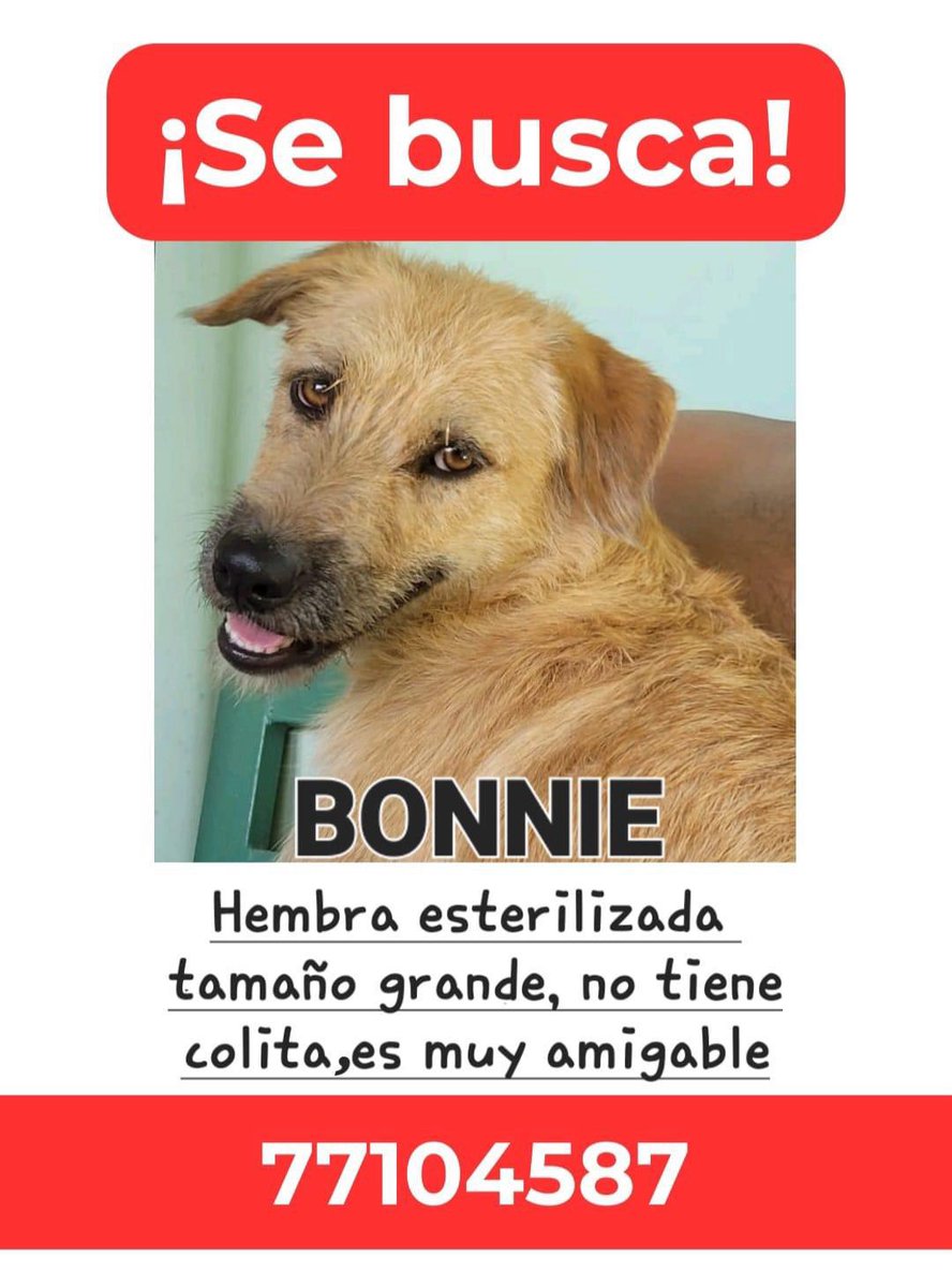 DameTuPatasv's tweet image. Se busca en San Martín - San Salvador
