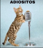 WilbertDC tweet media