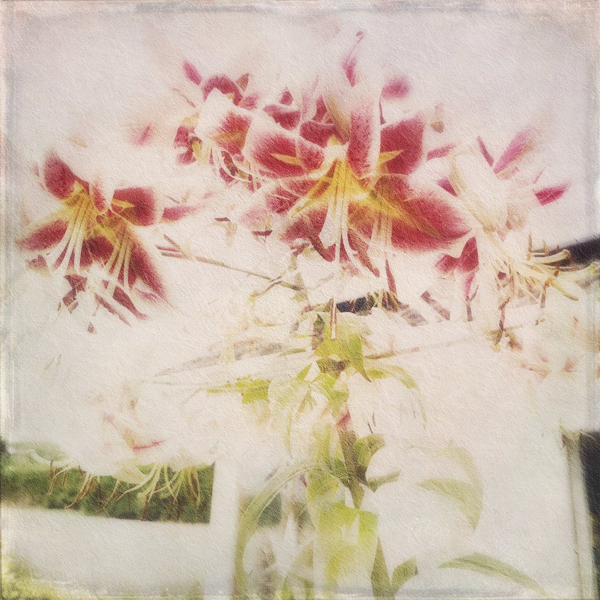 pixelscribe8's tweet image. When sleep avoids me…..I fiddle around with apps & my images. ☺️ Its like counting 🐑..😴
#multiexposure #instories #edits #digitalartistry