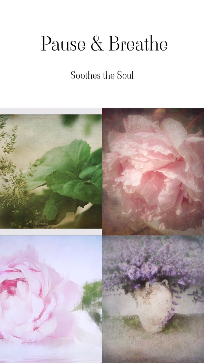 pixelscribe8's tweet image. When sleep avoids me…..I fiddle around with apps & my images. ☺️ Its like counting 🐑..😴
#multiexposure #instories #edits #digitalartistry