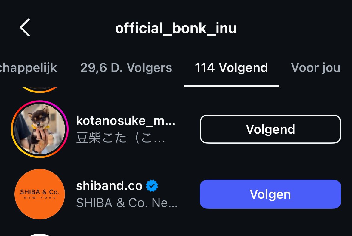 troublesomebaby's tweet image. #Kotanosuke is that one cute dog @bonk_inu is following on instagram.