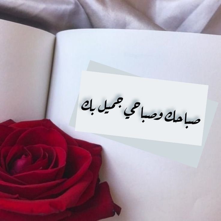Mkhaled8902's tweet image. صباحك وصباحي جميل بك..!

#صباح_الخير 🌷