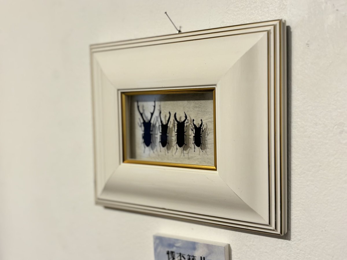 DFGHarajuku's tweet image. 【わたしの標本箱】
📍EAST 203
本日まで❣️
@turu0706
craneさんによる個展は本日まで!
鉱石、動植物などのモチーフを切り絵にし展示販売されています✂️✨
額も一からご自身で作られており、…