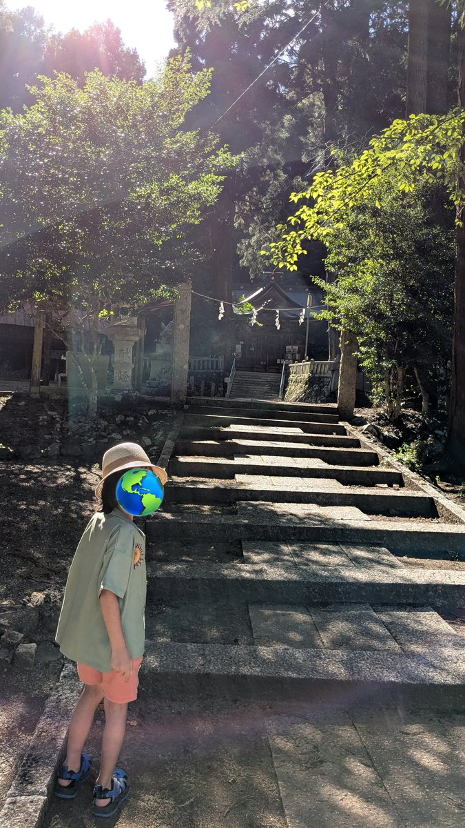 まんまるくん母 tweet media