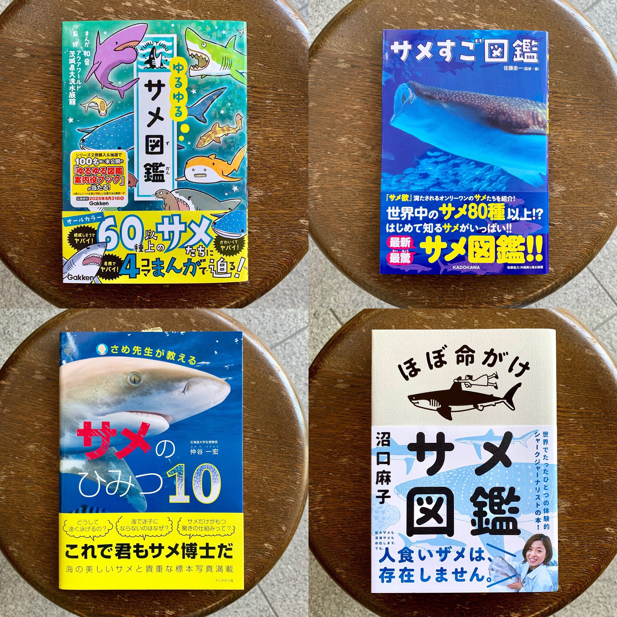 9671サカナおまとめ商品 SAKANA BOOKS（サカナブックス）｜サカナに特化した本屋