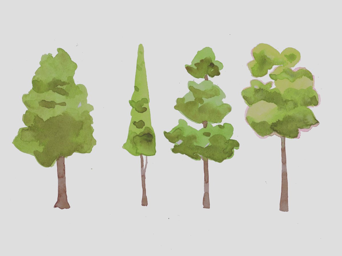 Watercolor sketching