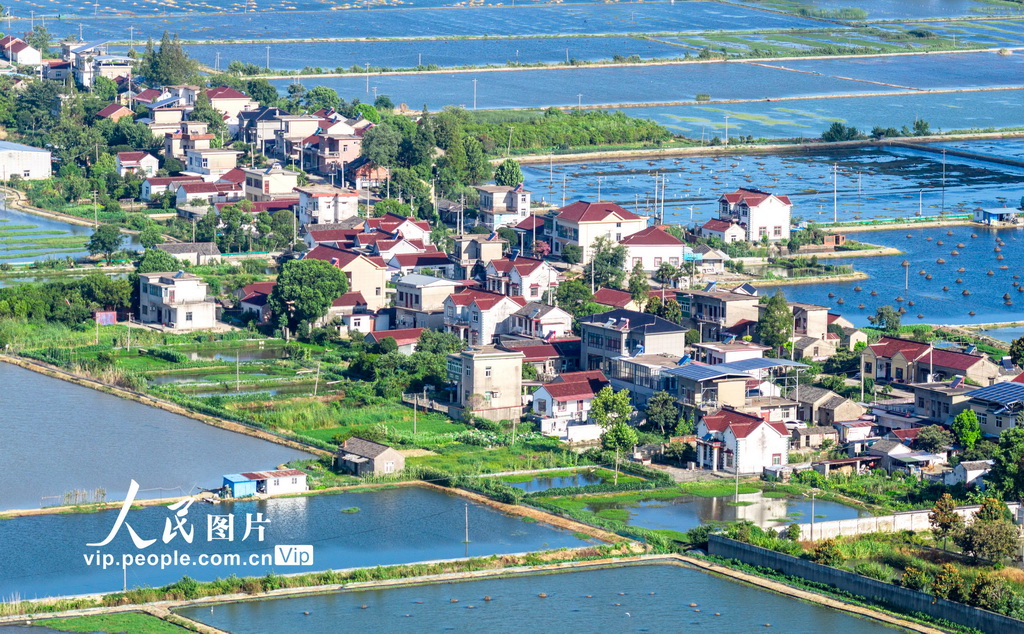 PDChinaLife's tweet image. In Xiegong Village, Dangtu County, east China&apos;s Anhui Province, shimmering shrimp ponds and crab farms nestle alongside well-tended village homes, together painting a charming portrait of rural life.