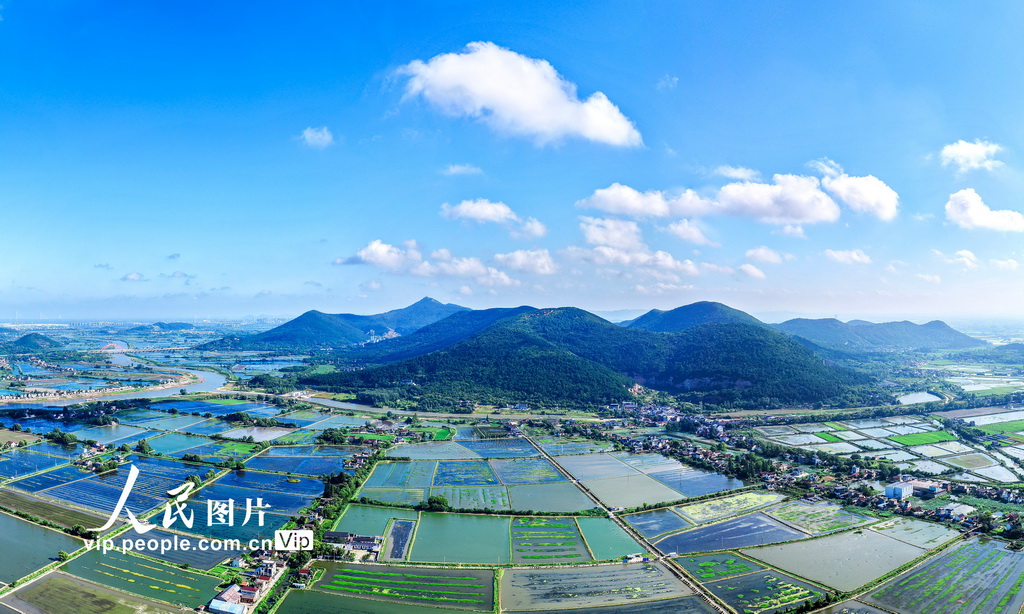 PDChinaLife's tweet image. In Xiegong Village, Dangtu County, east China&apos;s Anhui Province, shimmering shrimp ponds and crab farms nestle alongside well-tended village homes, together painting a charming portrait of rural life.